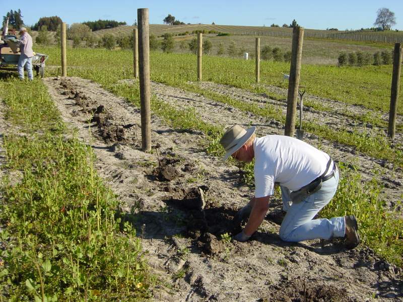 And more planting