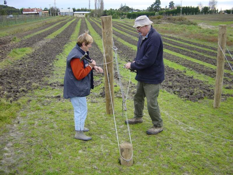 Alistair's parents put there years of farming experience and fencing to use