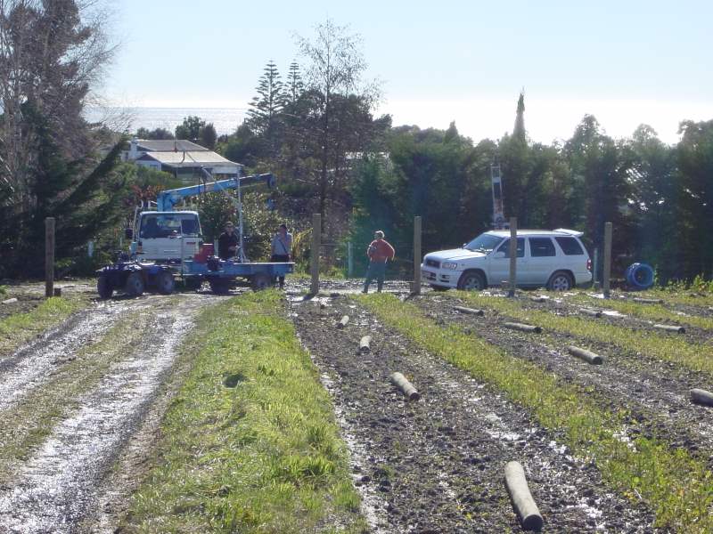 Posts laid out prior to driving