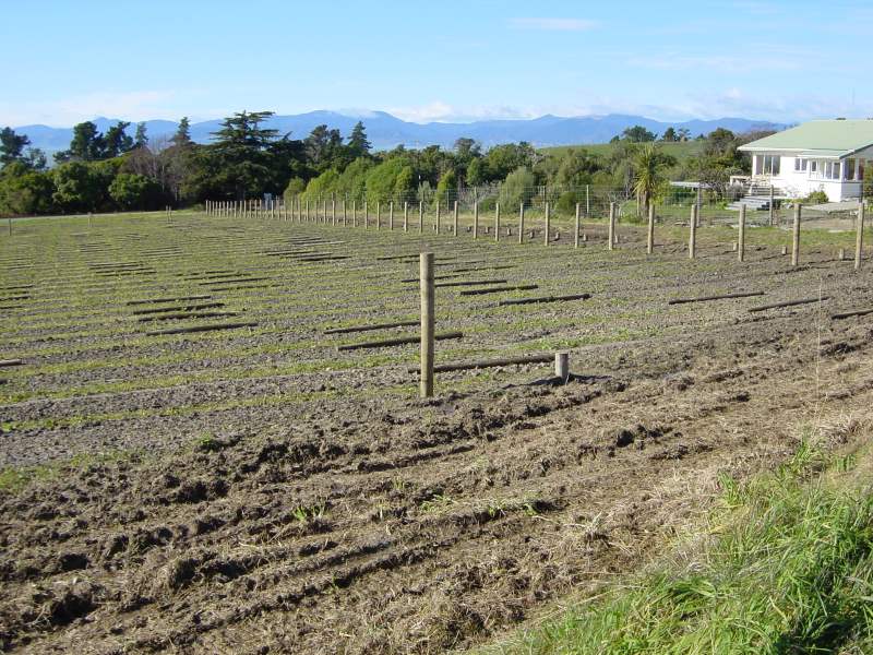 Posts laid out prior to driving